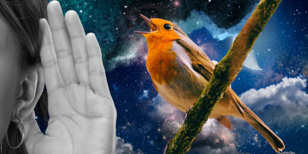 birds-chirping-at-night-spiritual-meaning