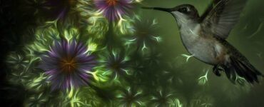 spiritual meaning of humming bird