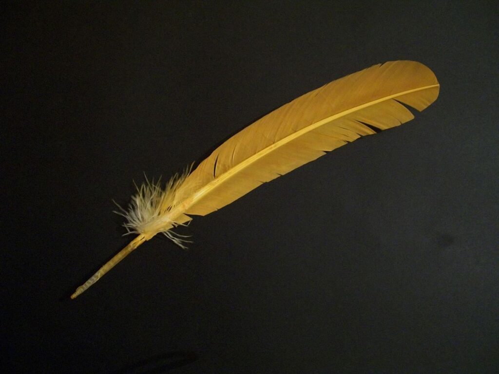Bird feather spiritual meaning