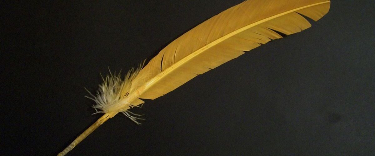 Bird feather spiritual meaning