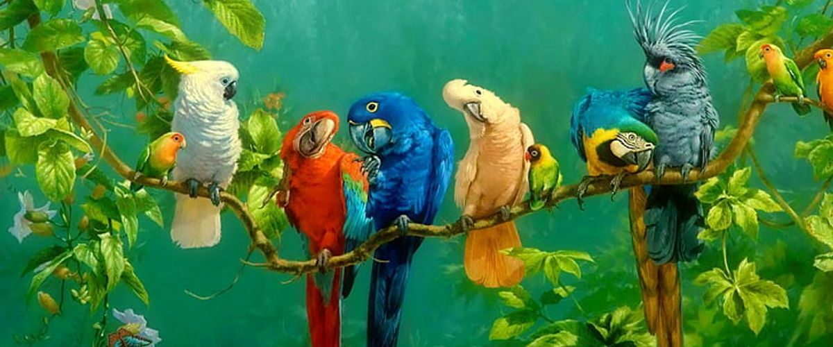 colorful bird spiritual meaning