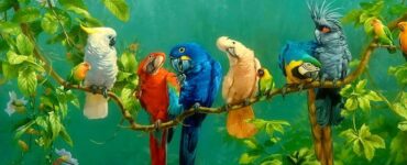 colorful bird spiritual meaning