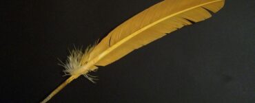 Bird feather spiritual meaning