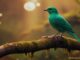 What is the Spiritual Meaning Of Green Bird?